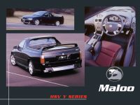 maloo-hsv-1439