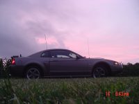 ford-mustang-1775