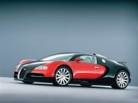 bugatti-veyron-4066