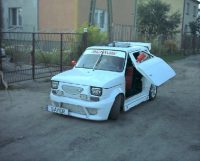 funny-funny-4636